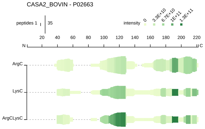 peptide profile (documentation)